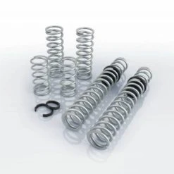 Eibach Pro-UTV Stage 3 Springs (2018-2019) Polaris RZR XP Turbo S